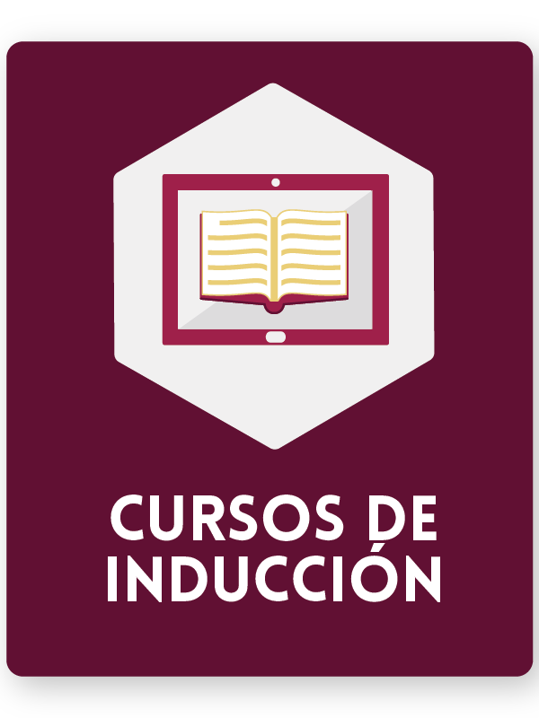 Icono Curso Inducc