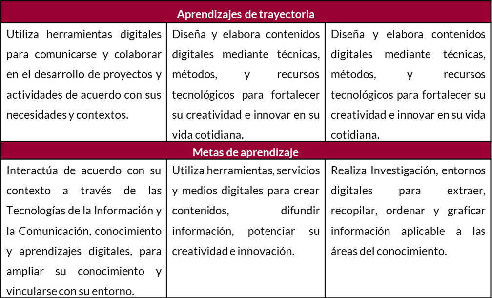 aprendizajes metas