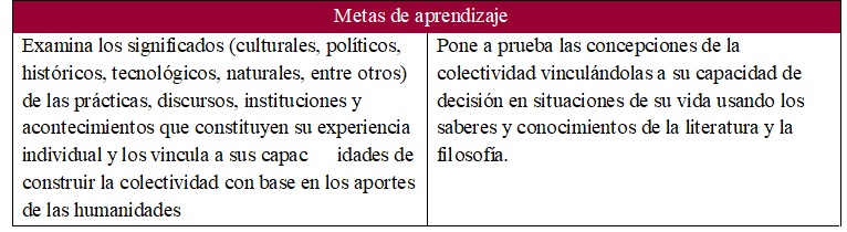 Metas de aprendizaje