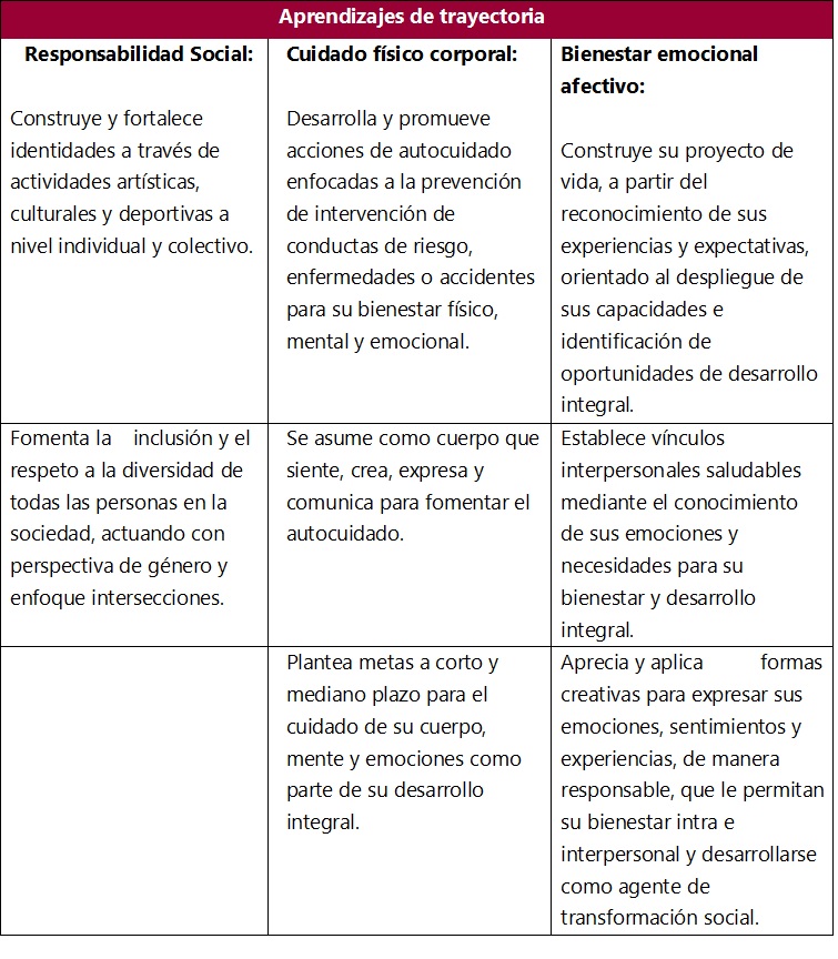 Aprendizajes de trayectoria artes