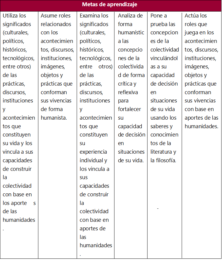 Metas de aprendizaje